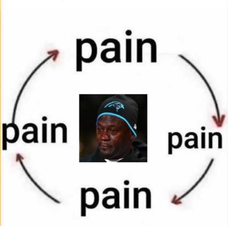 How it feels to be a panthers fan