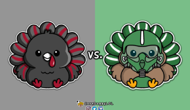 New York Jets Week 13 Turkey Doodle :)