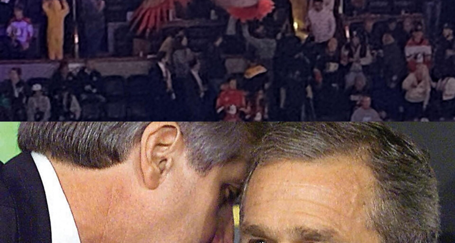 “Sir, a duck has struck Section 207.”