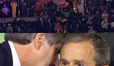 “Sir, a duck has struck Section 207.”