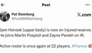 Honzek Officially on IR