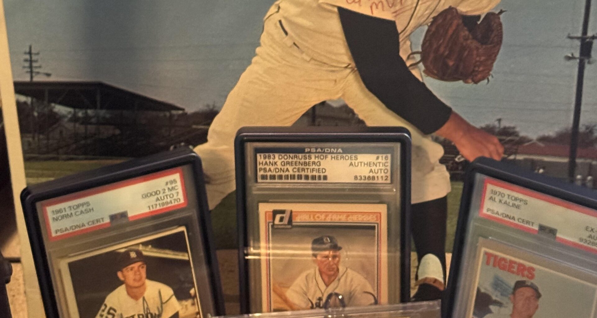 Showing off some Tigers yall might like