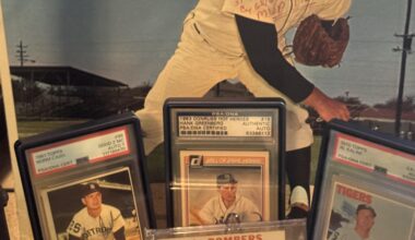 Showing off some Tigers yall might like