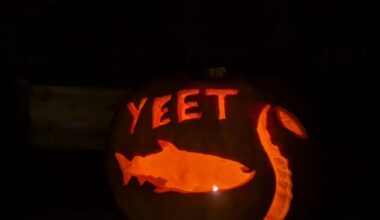 My 2025 Krak(en)-o'-lantern