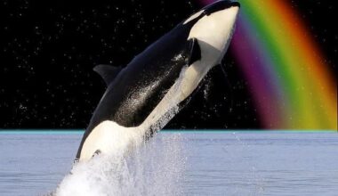 Your weekly /r/anaheimducks roundup for the week of November 10 - November 16, 2025