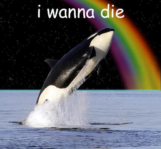 Your weekly /r/anaheimducks roundup for the week of November 10 - November 16, 2025