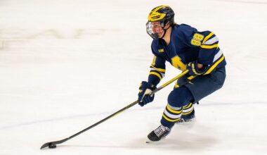 Mews suffers a season ending injury after a knee-on-knee hit