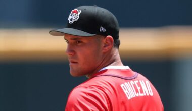 [Brandon Day]The Tigers farm system has the bats to contribute in 2026