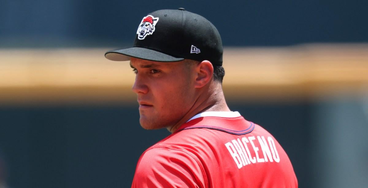 [Brandon Day]The Tigers farm system has the bats to contribute in 2026