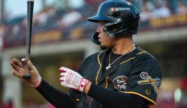 Last look at the Detroit Tigers Rule 5 roster decisions