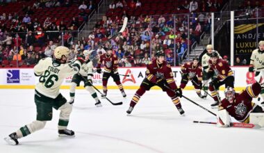 Minnesota Wild Prospect Spotlight