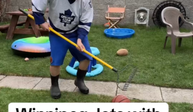 How Winnipeg beat St. Louis.