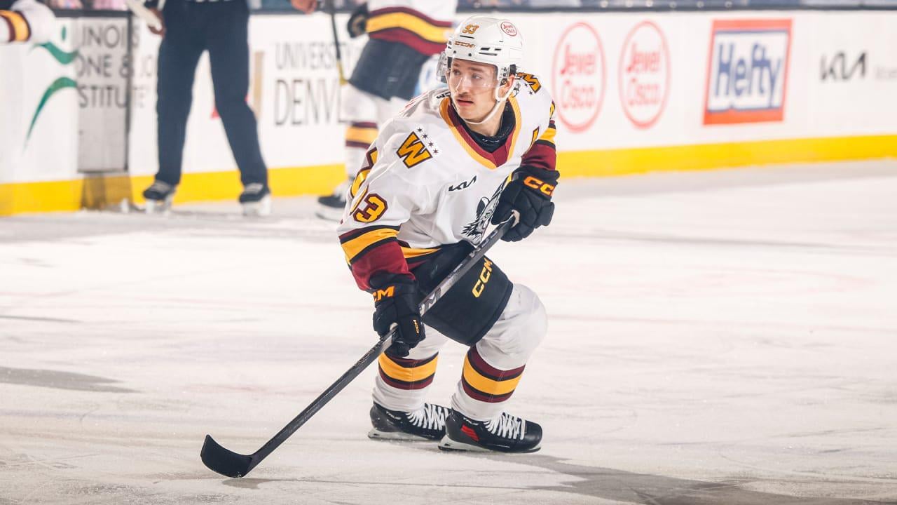 Hurricanes reassign Robidas to the Wolves