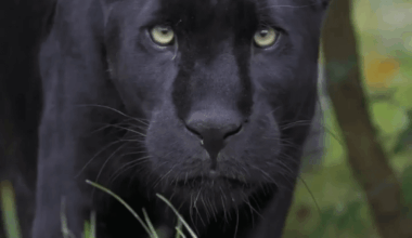 Sunday is almost here fam!