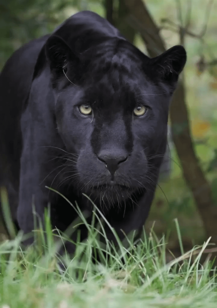 Sunday is almost here fam!