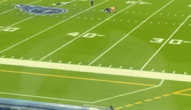 [Highlight] Chargers ESPN reporter Kris Rhim spotted three shirtless men wrestling on the field after the Chargers - Titans game