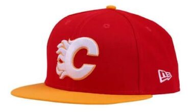 Flames (4-12-2) vs Sharks (8-6-3) - November 13th - pregame thread.