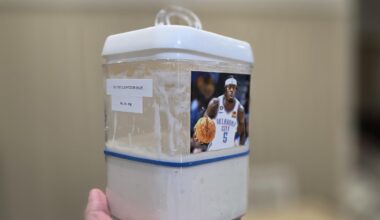 My sourdough starter, Glutentz Dort