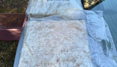 Got some game used bases. Let me know if interested 💪🏽