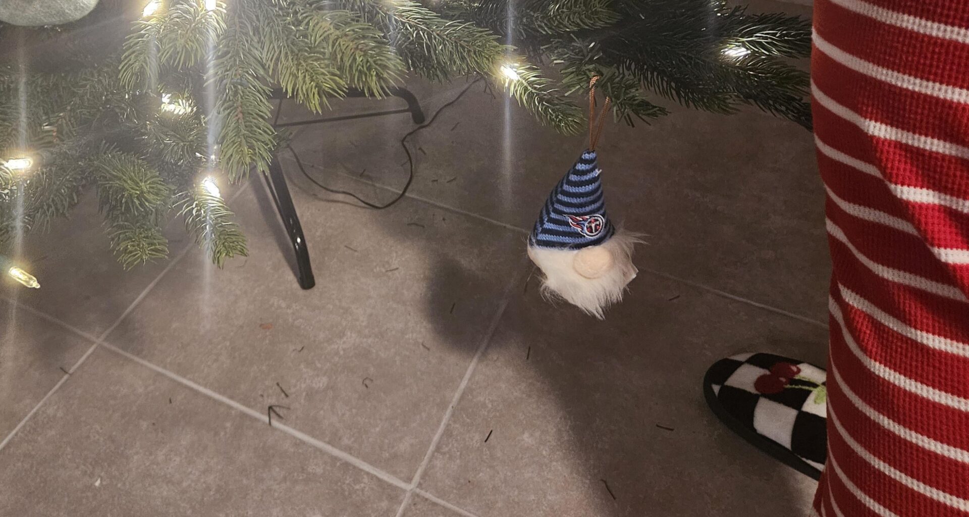 At The Very Bottom, Where He Belongs!