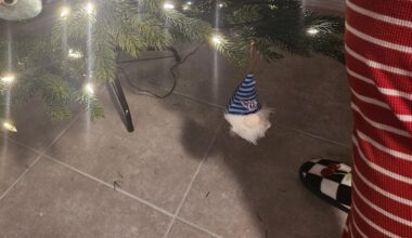 At The Very Bottom, Where He Belongs!