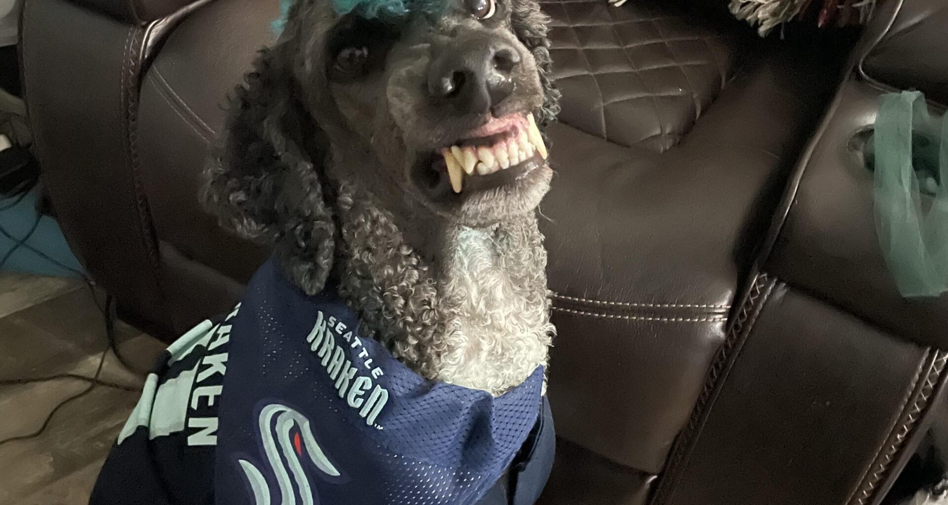 Question About Warm Ups