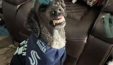 Question About Warm Ups