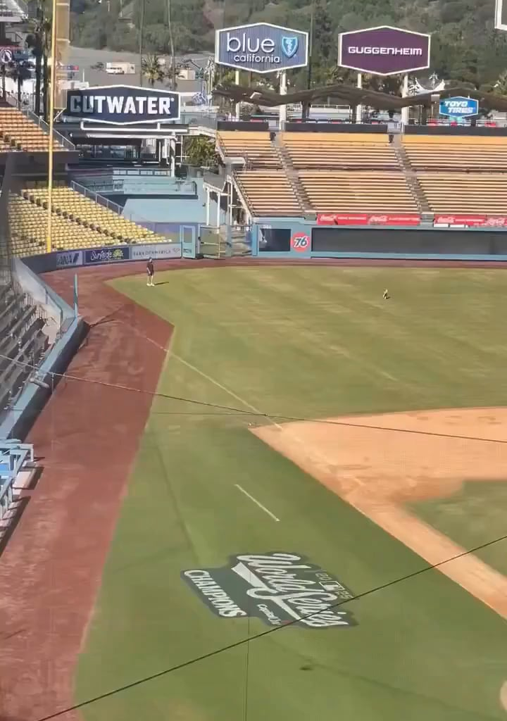 On Friday, Shohei Ohtani was spotted at an empty Dodger stadium along with his dog, decoy