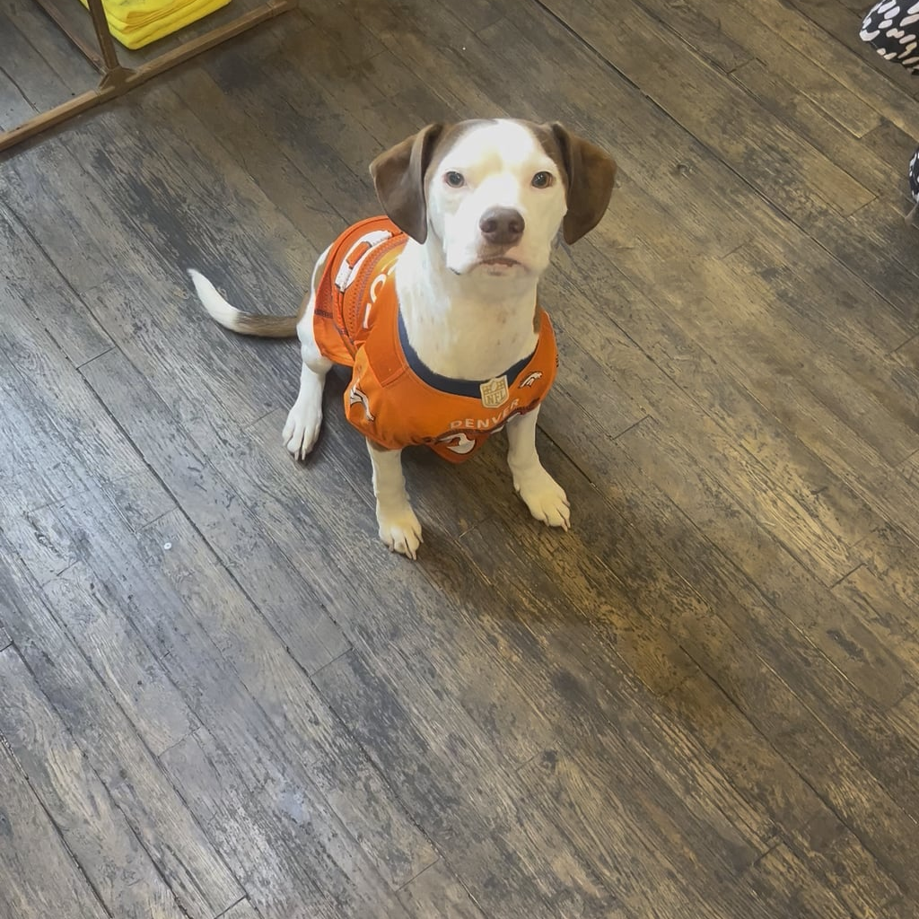 Murph is ready to get snaps out of the backfield