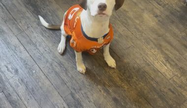 Murph is ready to get snaps out of the backfield