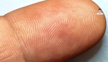 If Shohei shrunk to the size of a grain of sand but kept his same swing mechanics, could he generate enough torque to break a cheerio?