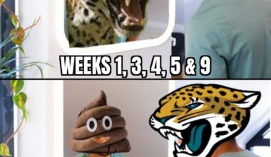 It Was Always the Jags