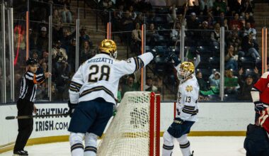 Preds Prospects Report: November