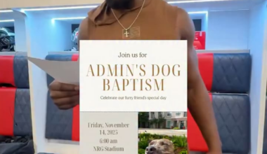 "Was this the dog’s choice?" 💀