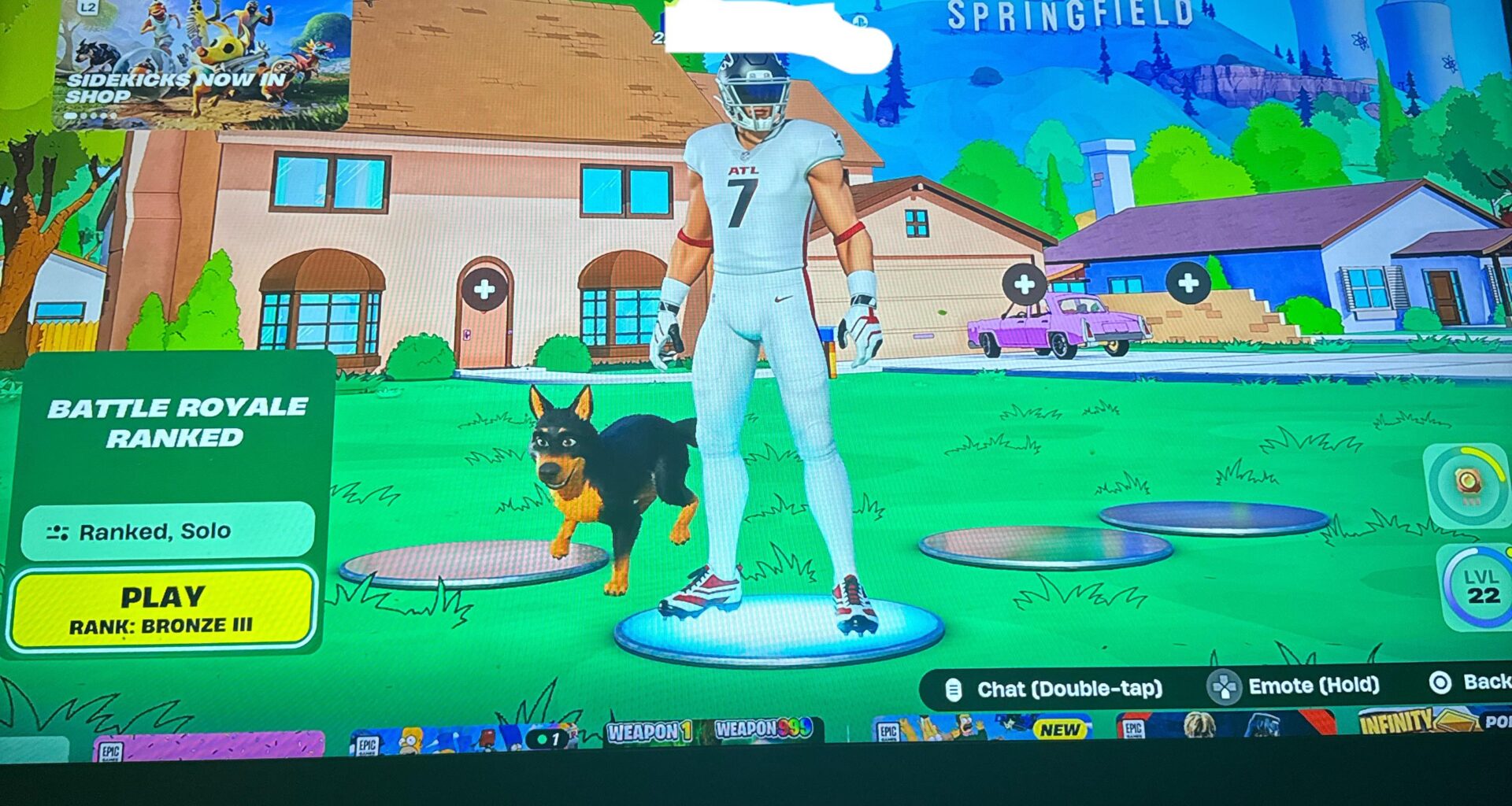 This dog doesn’t know what he got himself into