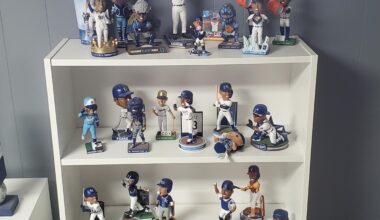 My dad's Salvy bobblehead collection.