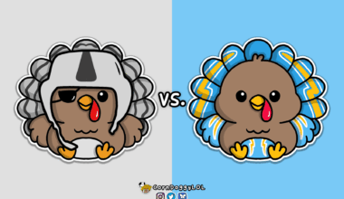 Los Angeles Chargers Week 13 Turkey Doodle :)