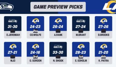 Official NFL game preview picks for week 11. Thoughts?