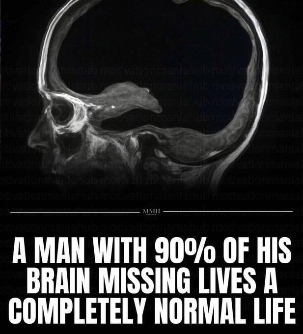 This fanbase in a nutshell