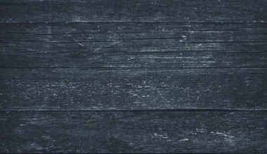 Nuggets Edition: When is it appropriate to put up holiday/Christmas decorations😂