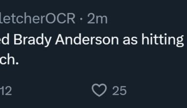 The Angels have hired Brady Anderson as hitting coach and John Mabry as assistant hitting coach.