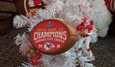 My Mom's own personal Chiefs ornament collection.