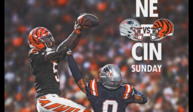 Had to use AI to find Gonzo getting cooked 😂