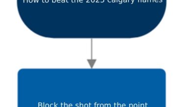 I made a flow chart showing how to beat the 2025 Calgary Flames