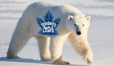 Leef Bobo is back to bring good fortune to the Maple Leafs. God bless him