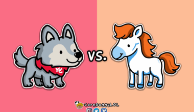 Kansas City Chiefs Week 11 Matchup Doodle :)