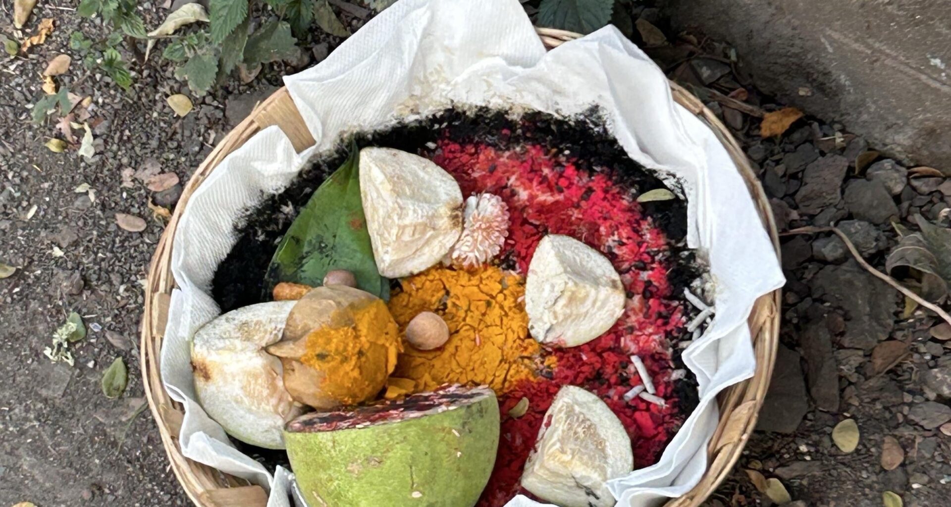 Help What is this thing?