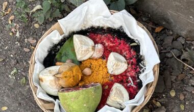 Help What is this thing?