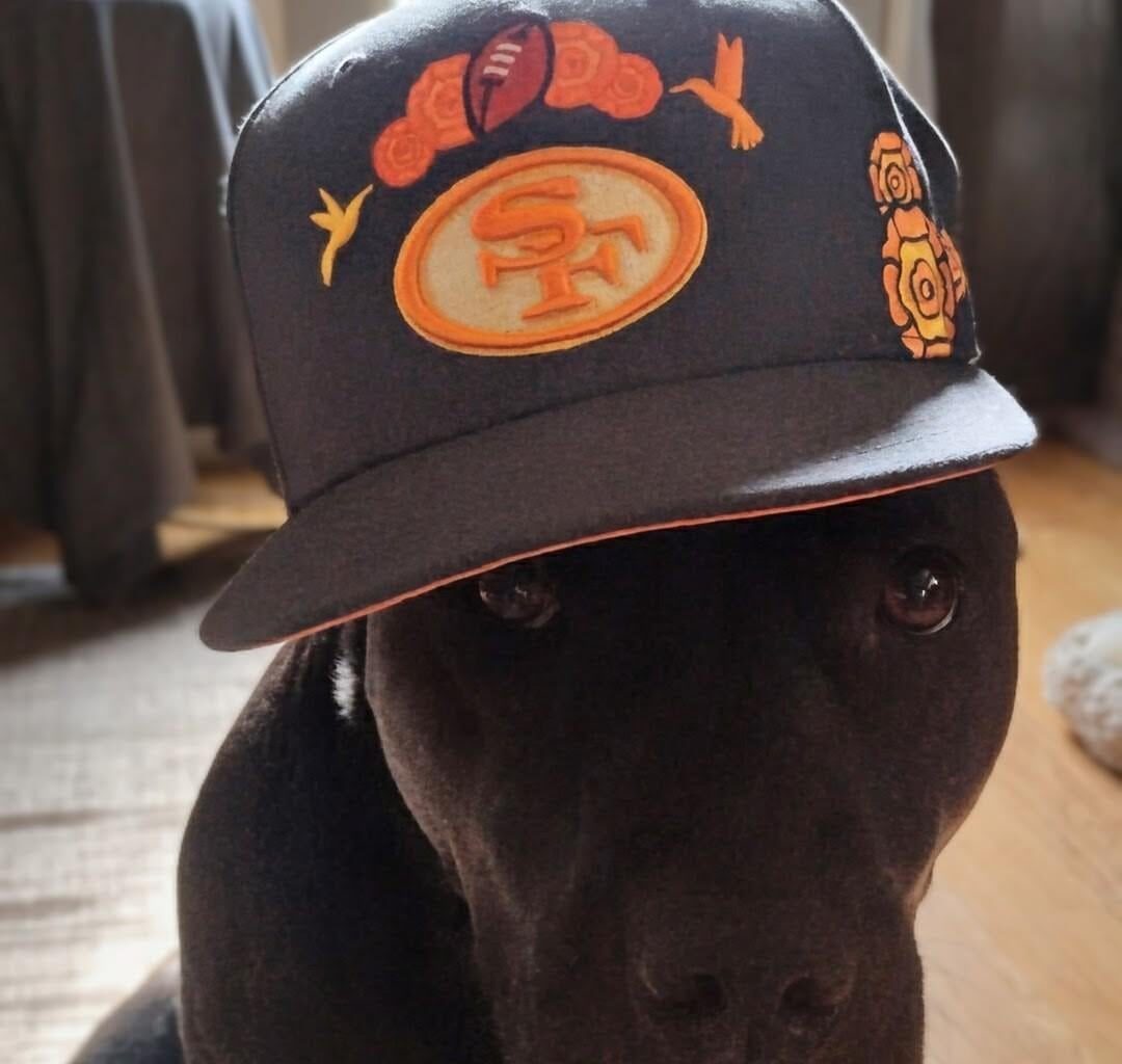 Got a new hat, looks better on my pitty Xena though