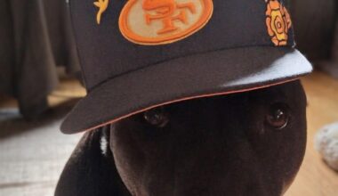 Got a new hat, looks better on my pitty Xena though